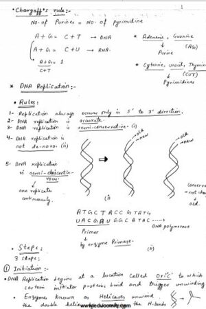 bindu-mam-anthropology-complete-class-notes-in-english-a