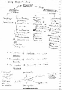 Vajiram And Ravi Latest Anthropology Handwritten Notes For Ias Mains