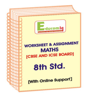 maths assignment 8th standard