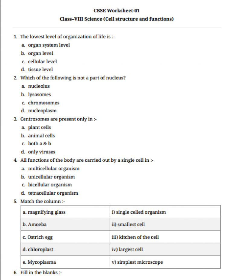 8th std science assignment answers