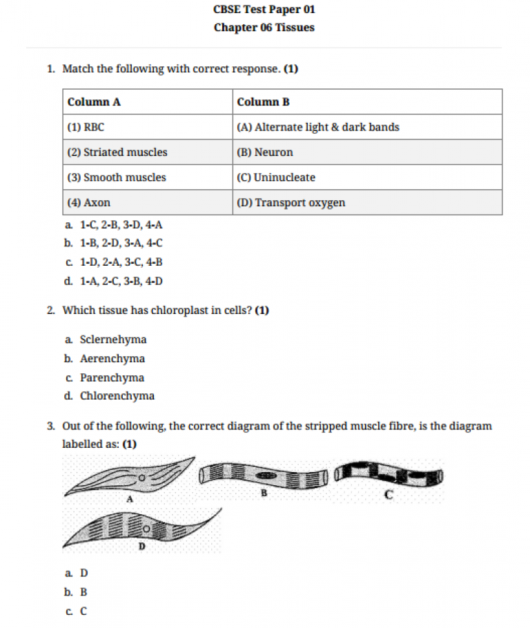 science 9th assignment 2 answer key