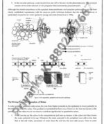 botany-evolution-plant-physiology-paper-2-printed-notes-ias-mains-b