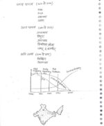 alok-ranjan-population-&-economic-geography-hindi-handwritten-notes-ias-mains-b