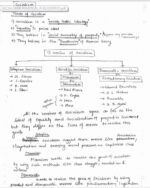 patanjali-ias-philosophy-paper-2-handwritten-notes-in-english-d