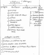 history-akhil-murti-ancient-history-hindi-handwritten-notes-ias-mains-d