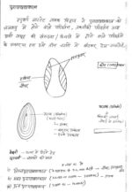 history-toppers-ancient-history-hindi-handwritten-notes-ias-mains-d