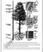 botany-evolution-paper-2-printed-notes-ias-mains-d