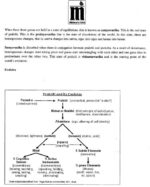 mitra-ias-philosophy-optional-paper-1-printed-notes-b