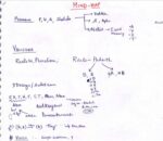 mitra-ias-indian-philosophy-handwritten-class-notes-in-english-c