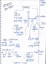 mitra-ias-social-political-philosophy-printed-plus-handwritten-class-notes-a