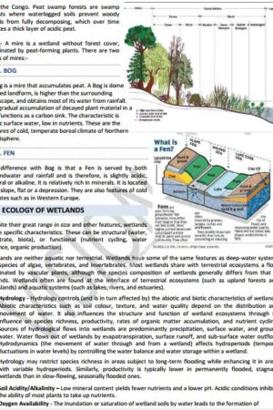 vision-ias-evs-ecology-notes-in-english-a