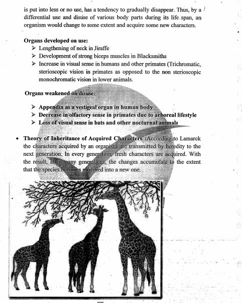 anthropology-bindu-physical-anthropology-printed-notes-ias-mains-a