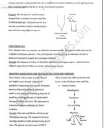 sosin-mam- anthropology-optional-paper-1-printed-notes-ias-mains-a