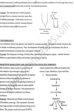 Sosin-mam-physical-anthropology-printed-notes-ias-mains-a