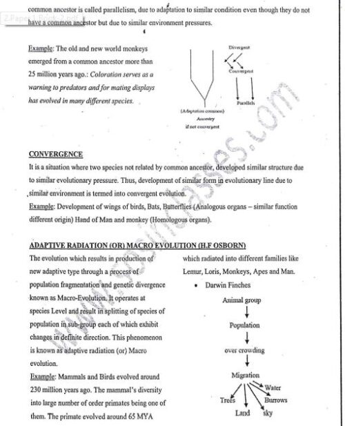 Sosin-mam-physical-anthropology-printed-notes-ias-mains-a