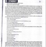 synergy-ias-mk-mohanty-pub-add-paper-2-e-p-notes-mains-h