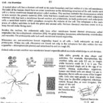 braintree-anthropology- volune-2-printed-notes-ias-mains-c