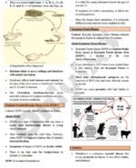 Only-IAS-paper-3-Science and Technology-Printed-Notes-for-Pre-cum-Mains-g