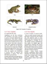 Tamilnadu-State-Board-11th-Class-Zoology-Volume-1-and-2-Book-e