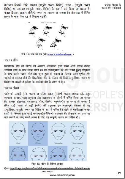 ignou-ba-anthropology-optional-notes-in-hindi-for-ias-mains-entrance-2022-a