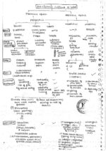 krishna-ias-anthropology-optional-handwritten-notes-of-paper-2-for-mains-c