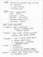 IAS Topper Apala Mishra Rank-9 Tribal Anthropology Notes with GS SCORE 10 Tests – English Medium-a