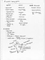 IAS Topper Apala Mishra Rank-9 Tribal Anthropology Notes with GS SCORE 10 Tests – English Medium-c
