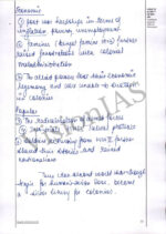 Vision IAS Topper Ashi Sharma Rank-12 GS Test Copy in English for Mains 2025-f