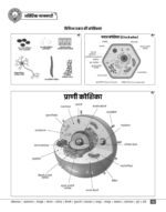 Vision IAS GS Paper-3 Science and Technology Printed Notes with 10 Years PYQ Analysis – English Medium-g